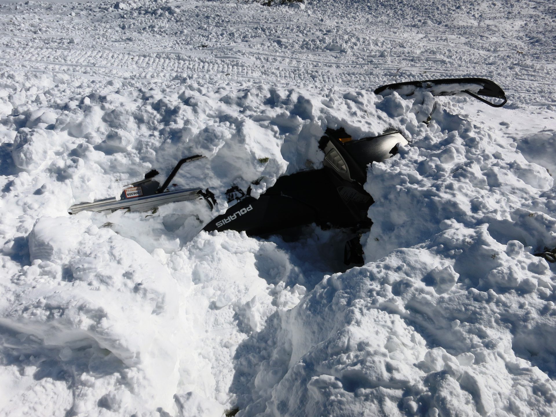 CAUGHT ON CAMERA: Dog rescued by 2 skiers after avalanche in Colorado