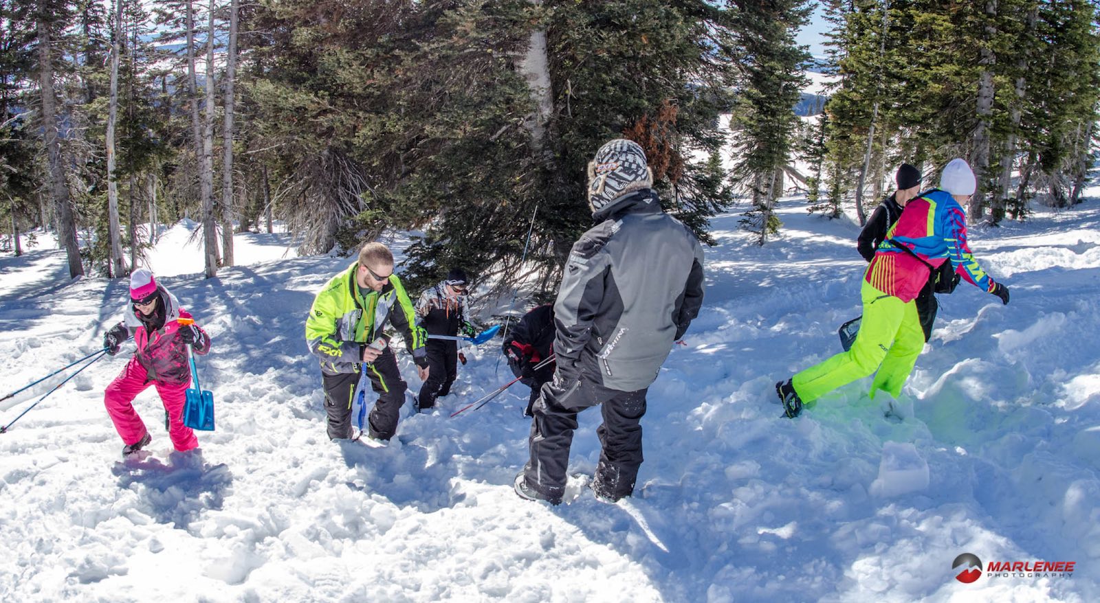 Employment Listing  Avalanche Center Director - Missoula Avalanche