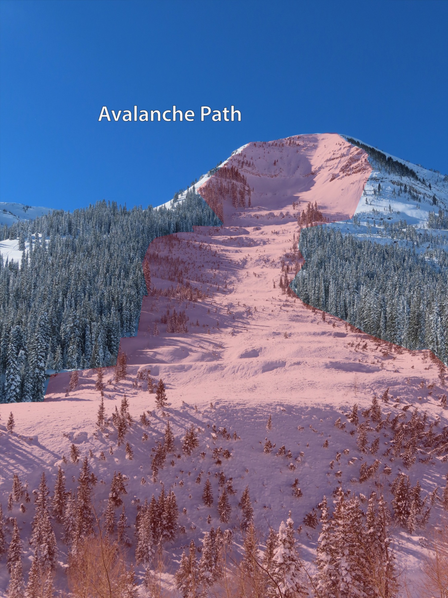 Avalanche.org » Avalanche path
